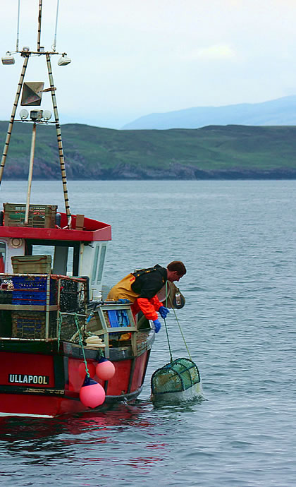 Salt Seafood Kitchen - local creel boat